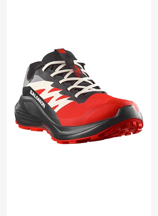 Salomon Alphaglıde Gore-Tex Erkek Patika Koşusu Ayakkabısı - Görsel 3