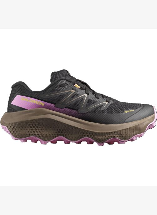 Salomon ULTRA FLOW 2 GTX Kadın Ayakkabısı L47884400 - Görsel 2
