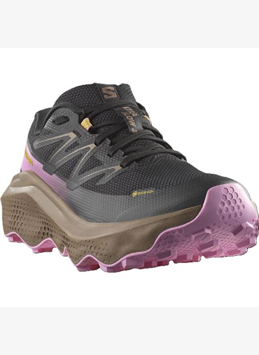 Salomon ULTRA FLOW 2 GTX Kadın Ayakkabısı L47884400 - Görsel 3