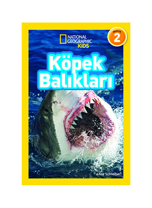 Beta Kids Köpek Balıkları Kitap