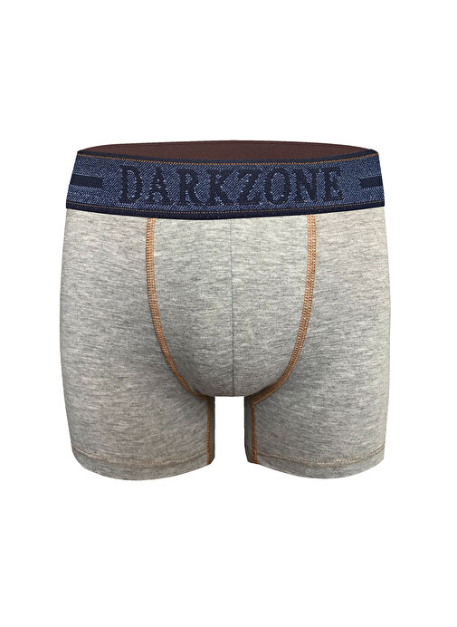 Darkzone Erkek Gri Boxer DZN2903