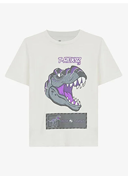 Skechers Erkek Çocuk T-Shirt SK241093-102-Graphic Tee B Shrt Slv