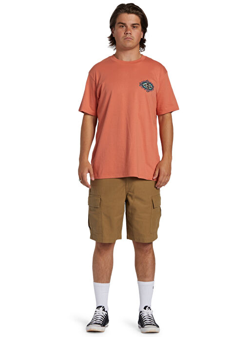 Billabong ABYZT02255_CRAYON WAVE TEES Somon Erkek Bisiklet Yaka Regular Fit Desenli T-Shirt