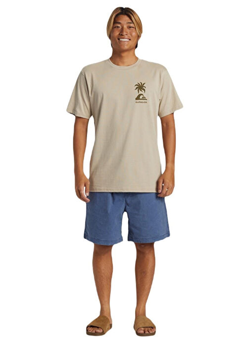 Quiksilver Kahve Erkek O Yaka Normal Kalıp Baskılı T-Shirt AQYZT09562_TROPICAL BREEZE