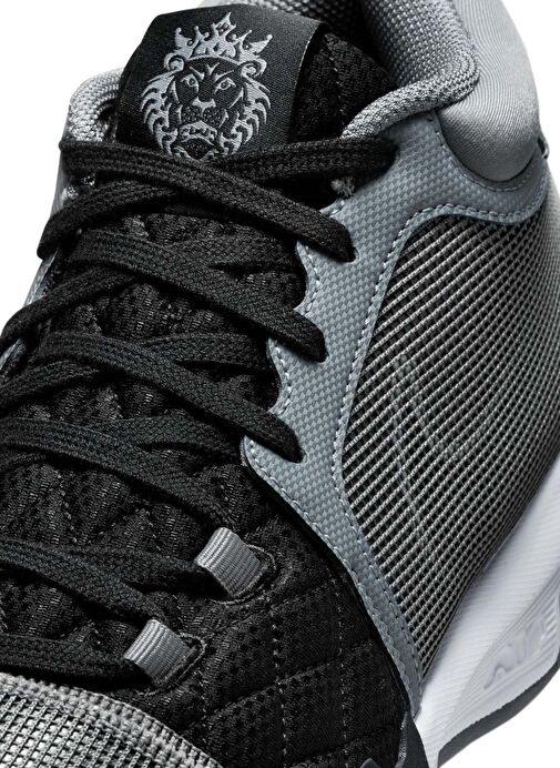 Nike Siyah Nike Lebron Witness