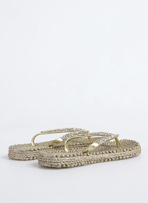 Ilse Jacobsen Altın Kadın Plaj Terliği CHEERFUL03G - Görsel 4