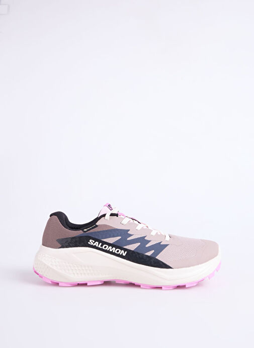 Salomon Alphaglıde Gore-Tex W Kadın Outdoor Ayakkabısı L47857900 - Görsel 2