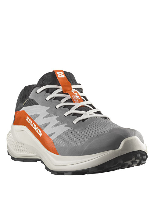 Salomon Alphaglıde Gore-Tex Erkek Outdoor Ayakkabısı L47975300 - Görsel 8