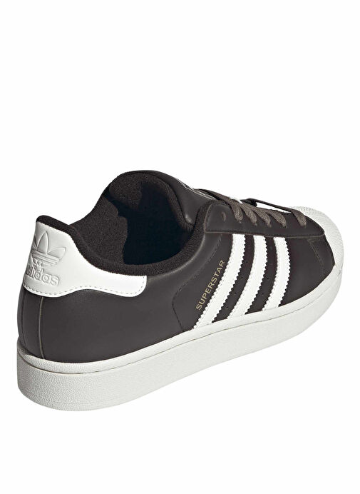 Adidas Kahverengi Adidas Superstar II
