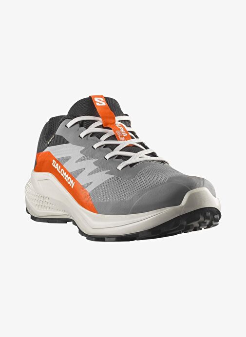 Salomon Alphaglide Gore-Tex Erkek Koşu Ayakkabısı - Görsel 3