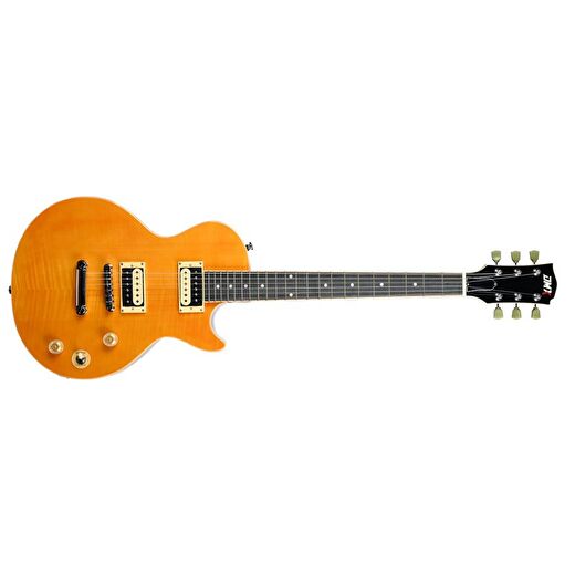 Dmx Guitars DALP100 A Slash AFD Les Paul Elektro Gitar (Taşıma Çantası Hediyeli) 2