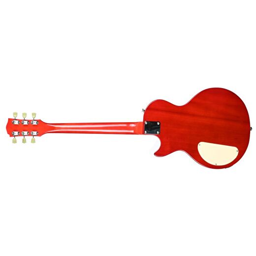 Dmx Guitars DALP100 A Slash AFD Les Paul Elektro Gitar (Taşıma Çantası Hediyeli) 3