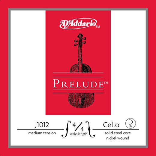 DADDARIO J1012 4/4M 1