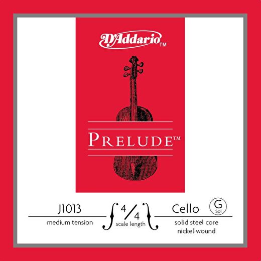 DADDARIO J1013 4/4M 1