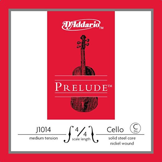 DADDARIO J1014 4/4M 1