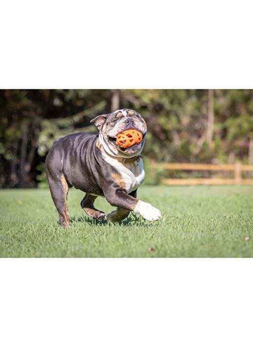 Chuckit! Air Fetch Football Köpek Oyun Topu 2