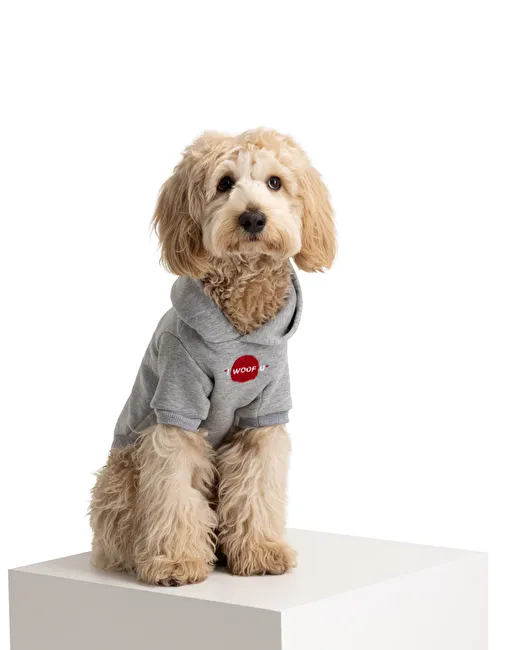 I Woof U Grey Pet Hoodie 1