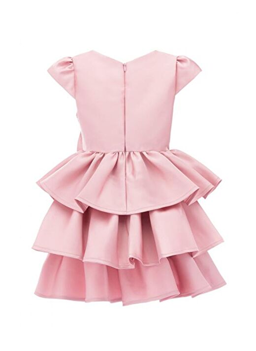 Pembe Fiyonklu Tafta Elbise 2