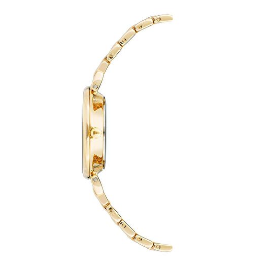 ANNE KLEIN AK-3872CHGB Kadın Kol Saati 3