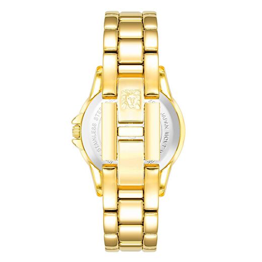 ANNE KLEIN AK-4132RQGB Kadın Kol Saati 2