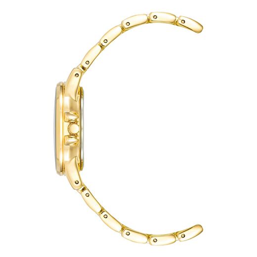 ANNE KLEIN AK-4132RQGB Kadın Kol Saati 3