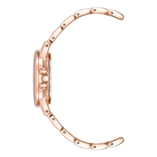 ANNE KLEIN AK-4132AVRG Kadın Kol Saati 3