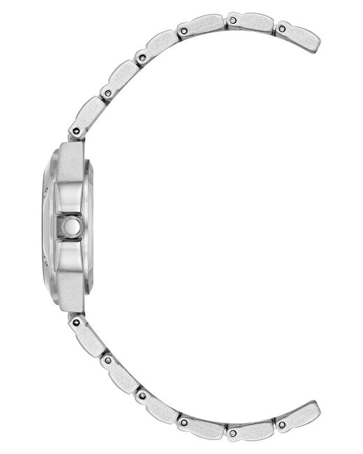 ANNE KLEIN 10-8655SISV Kadın Kol Saati 3