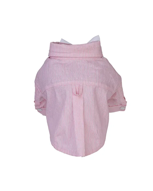  Splash Berry Dog Shirt  1