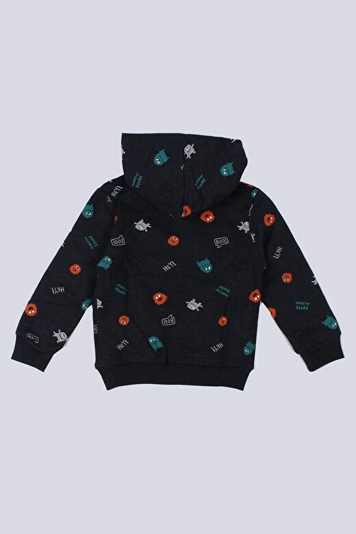 Erkek Bebek Kapşonlu Sweatshirt 2