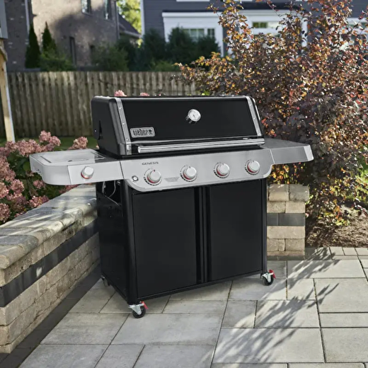 Genesis® E-415 Gazlı Barbekü 2