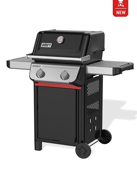 Spirit® 2025 Gazlı Barbekü&Mangal E-210 2