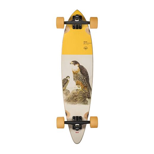 Globe Pintail Falcon 34" Complete Longboard 10525289 Kaykay  1