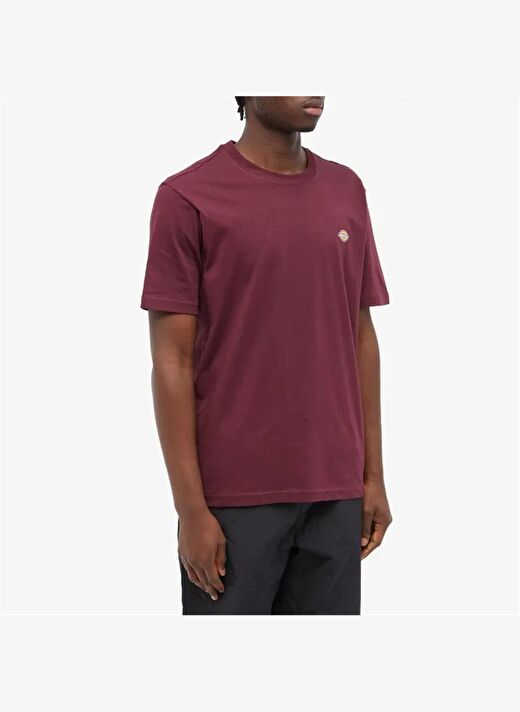 Dickies Ss Mapleton Tee Erkek T-Shirt 2