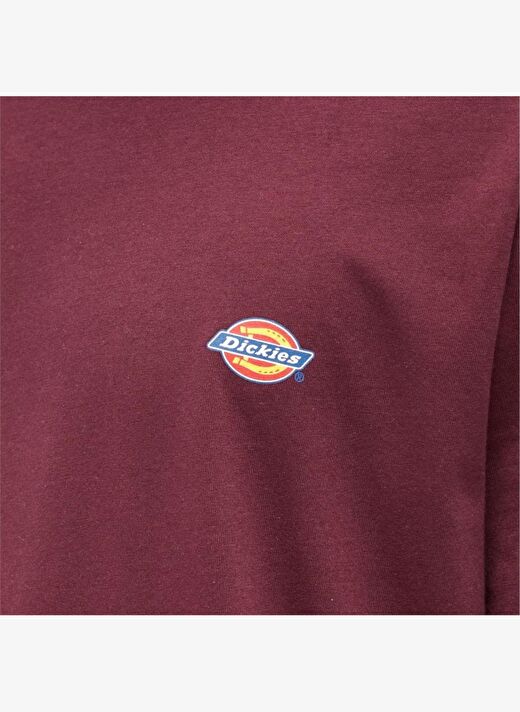 Dickies Ss Mapleton Tee Erkek T-Shirt 4