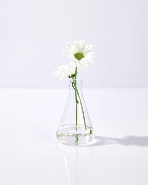 DAISY FLORAL MIST LAVENDER + CHAMOMILE HYDROSOL - SAF BİTKİ SUYU YATIŞTIRICI 2