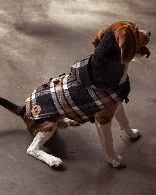 Duffle Köpek Ceket 3