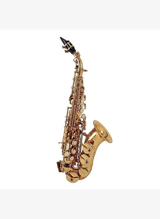 Roy Benson SG-302 Kıvrık Soprano Saksafon 1