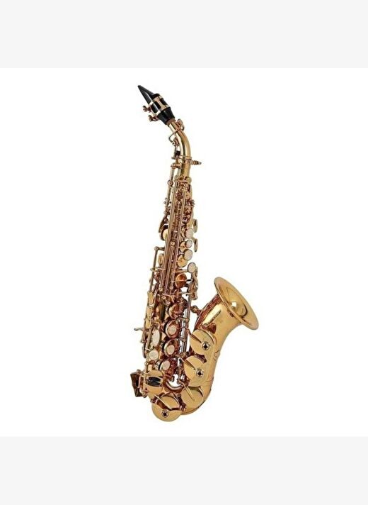 Roy Benson SG-302 Kıvrık Soprano Saksafon 2
