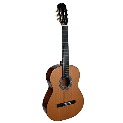 DMX Guitar ADM Klasik Gitar 1