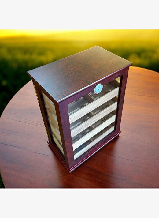 Gastro Camlı 4 Raflı Puro Kutusu Humidor Kabinet Kahve 200's 3