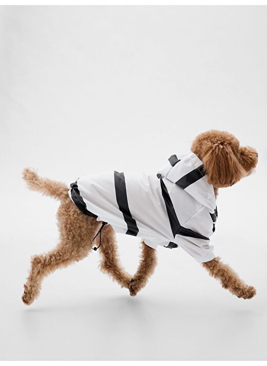 Desenli Köpek Yağmurluğu 4
