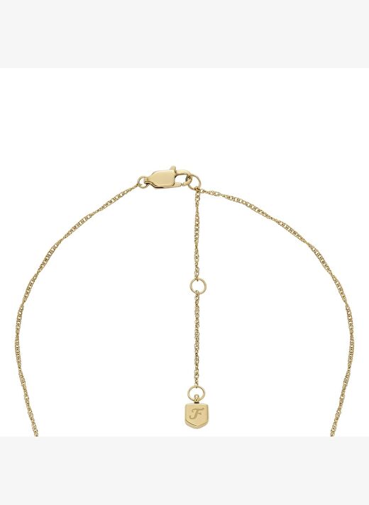 Fossil Jewel JF04793-710 Kadın Kolye 3