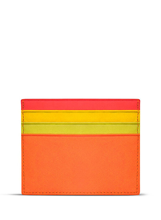 Case Look Çok Renkli Kadın Kartlık CL01-02 3