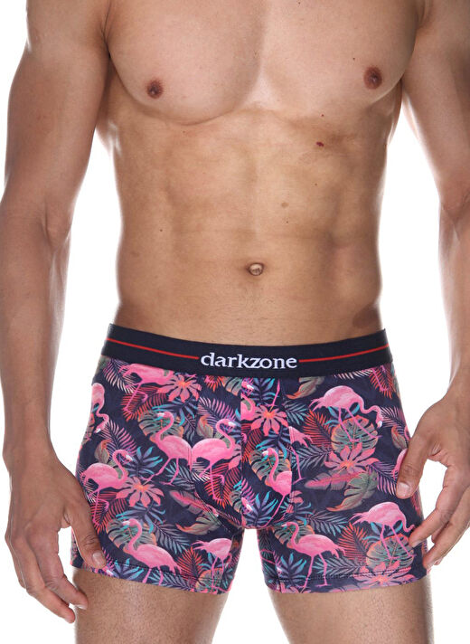 Darkzone Erkek Dijital Baskılı Flamingo Desenli Boxer  DZN2062 2