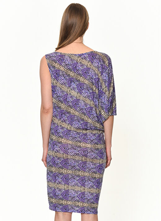 Bcbgmaxazria Çok Renkli Kadın Elbise WQH1R798 3