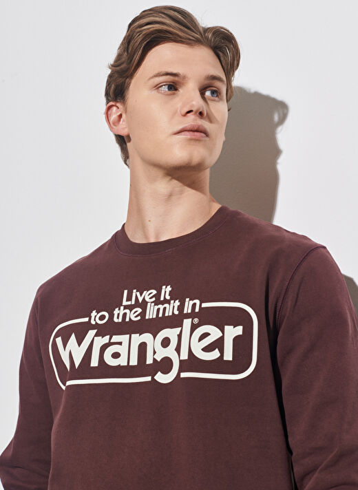 Wrangler Bisiklet Yaka Koyu Bordo Erkek Sweatshırt W6F3H1XU1_Bisiklet Yaka Sweatshirt 3