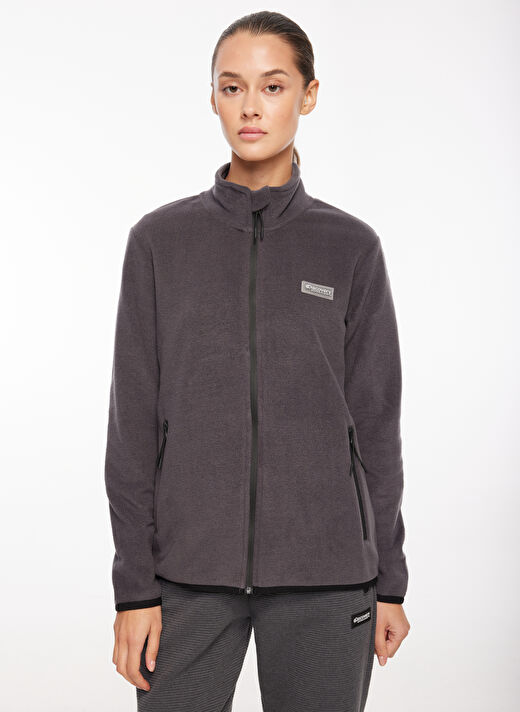 Discovery Expedition Antrasit Kadın Kapüşon Yaka Standart Fit Polar Sweatshırt D3WL-SWT27 2