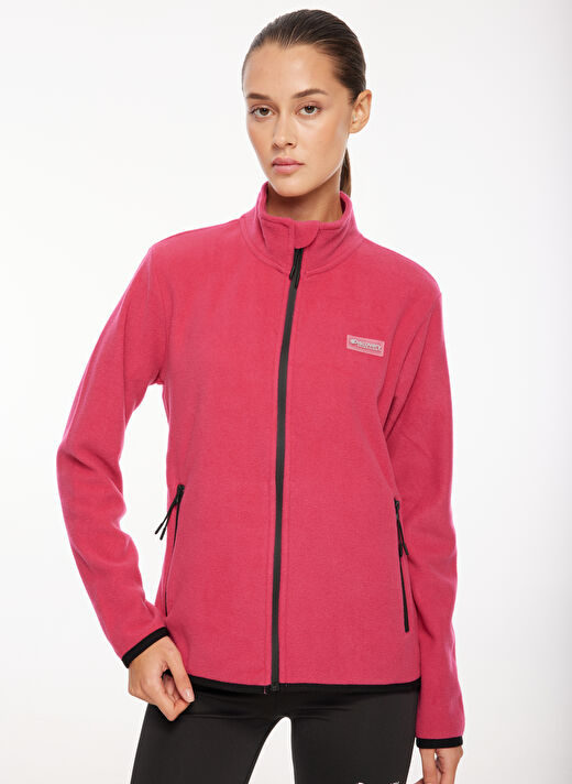 Discovery Expedition Pembe Kadın Kapüşon Yaka Standart Fit Polar Sweatshırt D3WL-SWT27 2