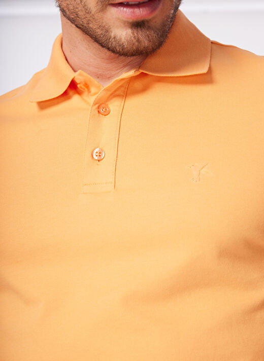 Fabrika Somon Erkek Regular Fit Polo T-Shirt LEGOLAS Y   4