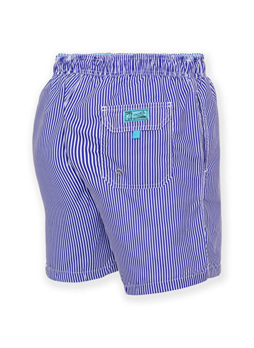 Oxnard Lacivert - Beyaz Erkek Şort Mayo OXM7070-GALAPAGOS 2